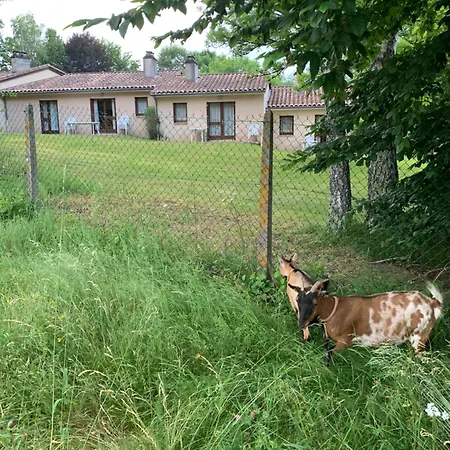Gite Üdülőpark Leyme